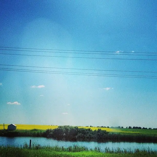Big sky over canola field and pond